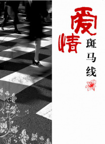 亚洲精品国产不卡在线观看
